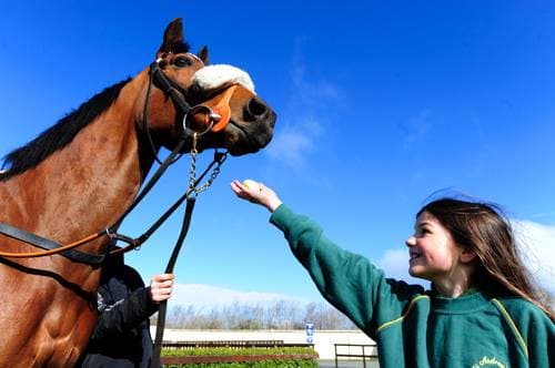 WIN 5 tickets to the Fairyhouse Family Fun Raceday for everyone WIN 5 tickets to the Fairyhouse Family Fun Raceday for everyone