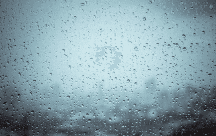 Fog, rain and sunny spells… We’re in for all kinds of weather today Fog, rain and sunny spells… We’re in for all kinds of weather today
