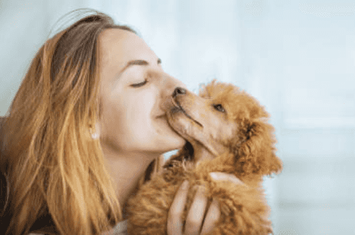 Bad news ‘cos kissing your pet on the mouth could be damaging your health Bad news ‘cos kissing your pet on the mouth could be damaging your health