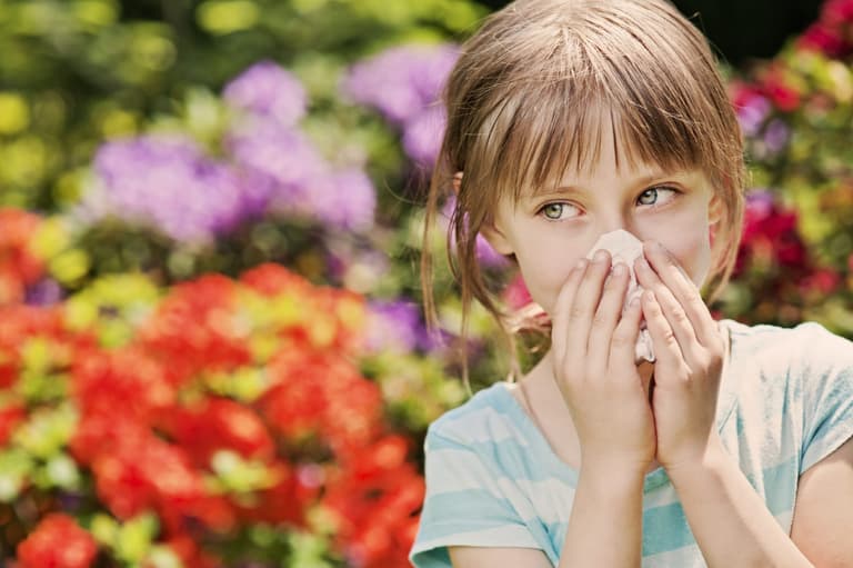 If you suffer from hayfever these products will help get you through the summer If you suffer from hayfever these products will help get you through the summer