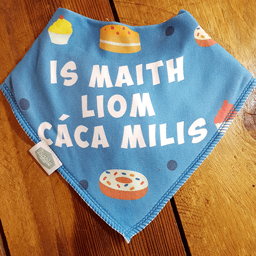 Super cute Irish language bibs perfect for teaching baby their cúpla focail Super cute Irish language bibs perfect for teaching baby their cúpla focail