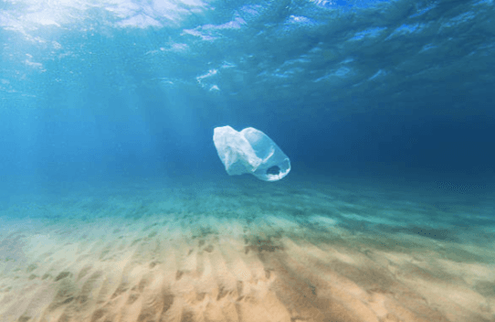 A free festival in Cork wants to save our seas from plastic pollution A free festival in Cork wants to save our seas from plastic pollution