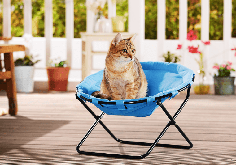 Lidl is now selling a seat for your cat or small dog and awwww Lidl is now selling a seat for your cat or small dog and awwww