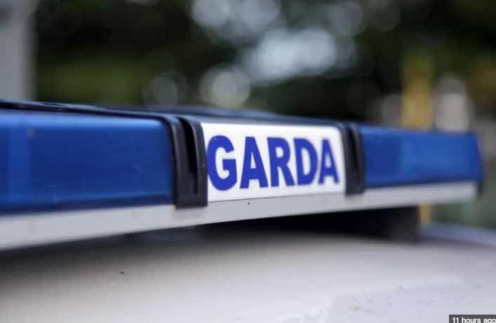 Gardaí are appealing for help in finding a missing therapy pony Gardaí are appealing for help in finding a missing therapy pony