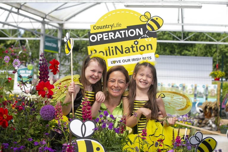 Glanbia’s CountryLife Garden Centres are giving away free seeds to save the bees Glanbia’s CountryLife Garden Centres are giving away free seeds to save the bees