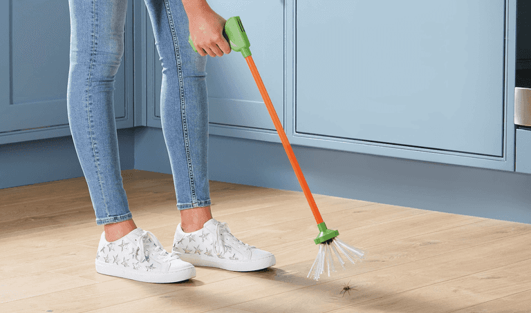 Aldi is selling a spider catcher for €8.99 and it’s sure to sell out within minutes Aldi is selling a spider catcher for €8.99 and it’s sure to sell out within minutes