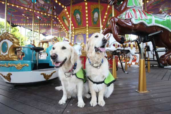 Tayto Park has announced a special Autism Awareness weekend Tayto Park has announced a special Autism Awareness weekend