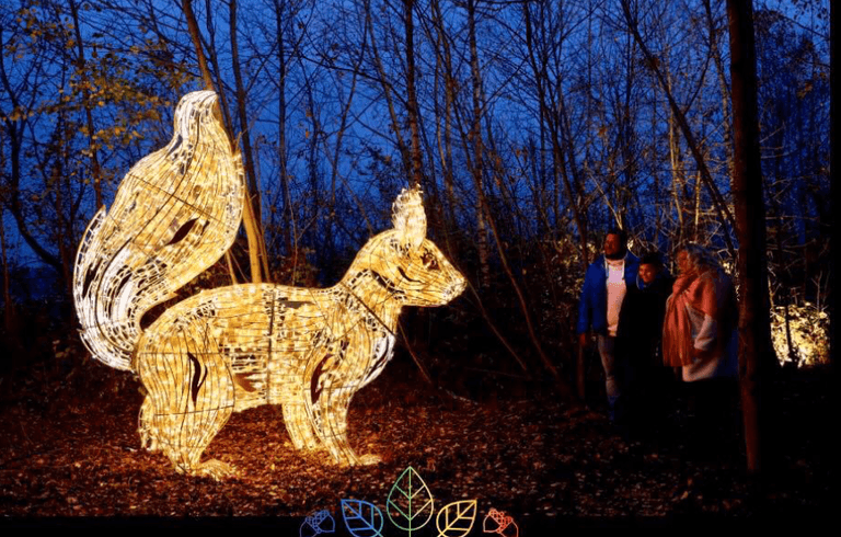 Wonderlights is coming to Dublin and you’ll want to get the whole family involved Wonderlights is coming to Dublin and you’ll want to get the whole family involved