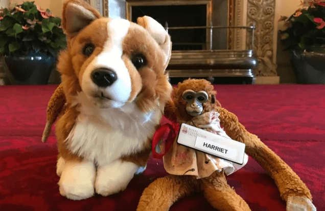 Buckingham Palace returns lost teddy to 5-year-old school girl Buckingham Palace returns lost teddy to 5-year-old school girl