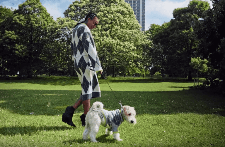 H&M have launched a matching human and dog sweater collection H&M have launched a matching human and dog sweater collection
