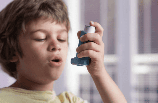 Some asthma inhalers as bad for environment as eating meat, says study Some asthma inhalers as bad for environment as eating meat, says study