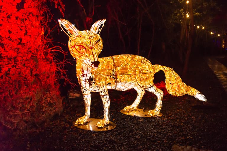 We got a sneak preview of the new Wonderlights trail and it really is WONDERful We got a sneak preview of the new Wonderlights trail and it really is WONDERful
