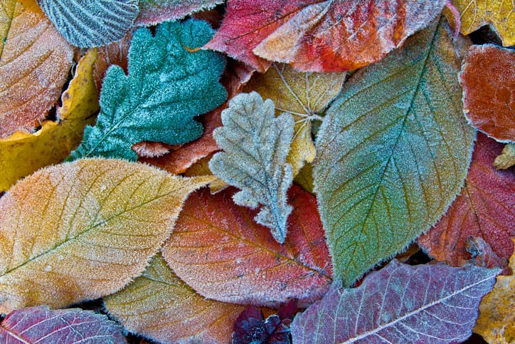 Met Éireann predict that we’re in for a ‘crisp and frosty’ day Met Éireann predict that we’re in for a ‘crisp and frosty’ day