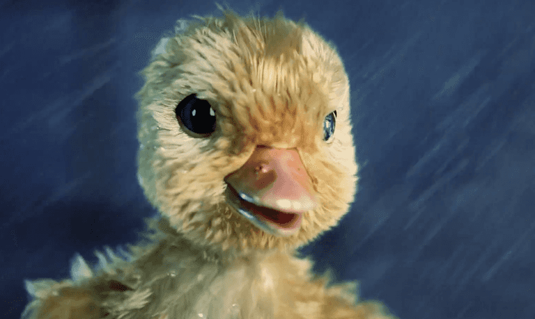 ‘The Doorman and the Duck’ has to be the best Christmas ad of 2019 ‘The Doorman and the Duck’ has to be the best Christmas ad of 2019