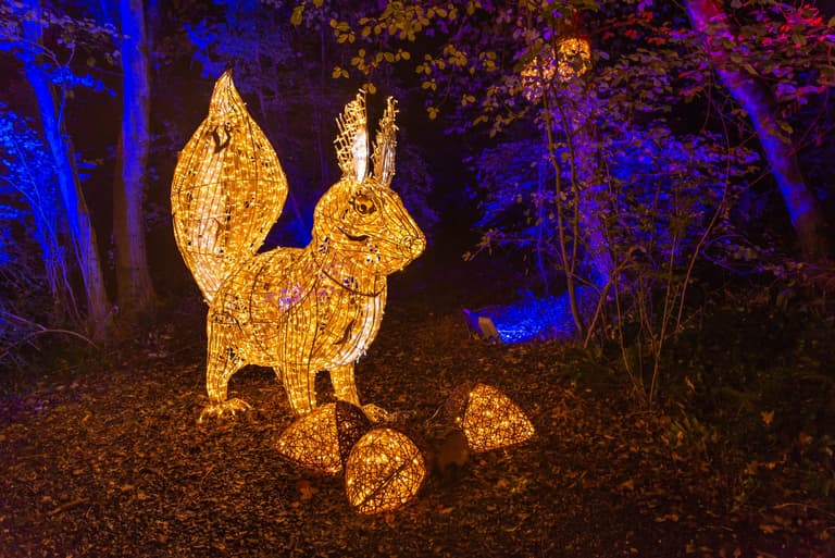 Due to popular demand Wonderlights will return for a second run Due to popular demand Wonderlights will return for a second run
