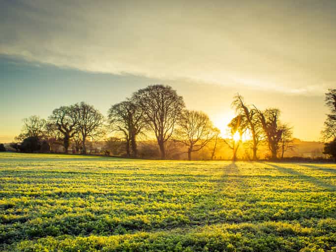 Met Éireann predicts the weather will get ‘drier and milder’ leading into the New Year Met Éireann predicts the weather will get ‘drier and milder’ leading into the New Year