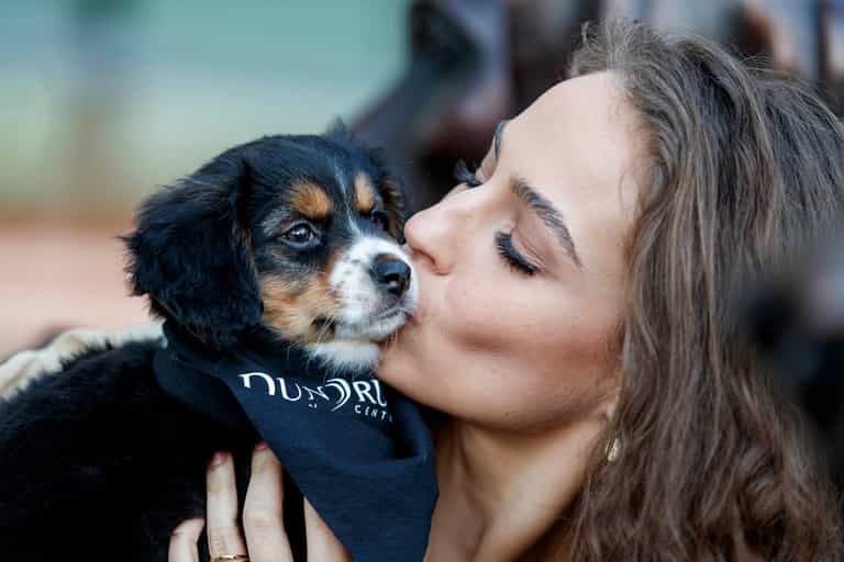 Lonely Paws: There’s a dog match-making event happening in Dublin next week Lonely Paws: There’s a dog match-making event happening in Dublin next week
