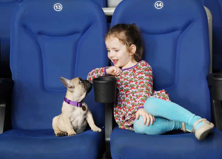 There’s a dog-friendly cinema screening happening in Dublin soon There’s a dog-friendly cinema screening happening in Dublin soon