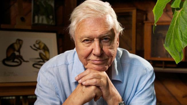 David Attenborough’s spectacular new documentary will be shown in Irish cinemas with a Q&A after David Attenborough’s spectacular new documentary will be shown in Irish cinemas with a Q&A after