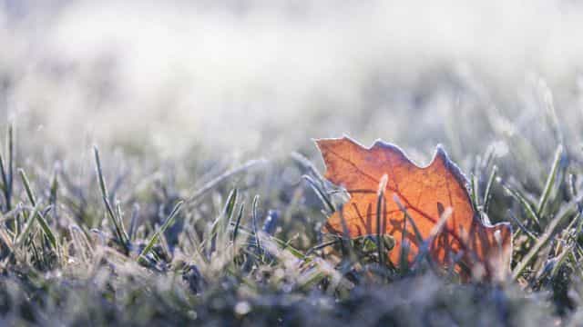 Met Éireann say frost, mist and icy patches will welcome us into the New Year Met Éireann say frost, mist and icy patches will welcome us into the New Year