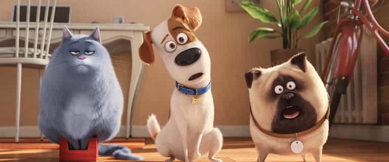 The Secret Life of Pets is on RTÉ One tonight and that’s our Saturday evening sorted The Secret Life of Pets is on RTÉ One tonight and that’s our Saturday evening sorted
