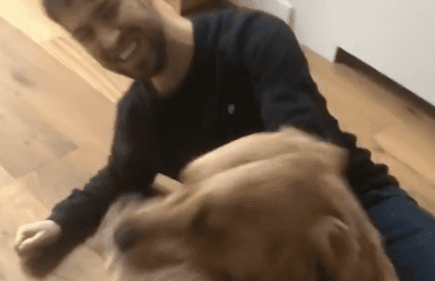 WATCH: Dog graciously stops owner from leaving the house due to coronavirus WATCH: Dog graciously stops owner from leaving the house due to coronavirus