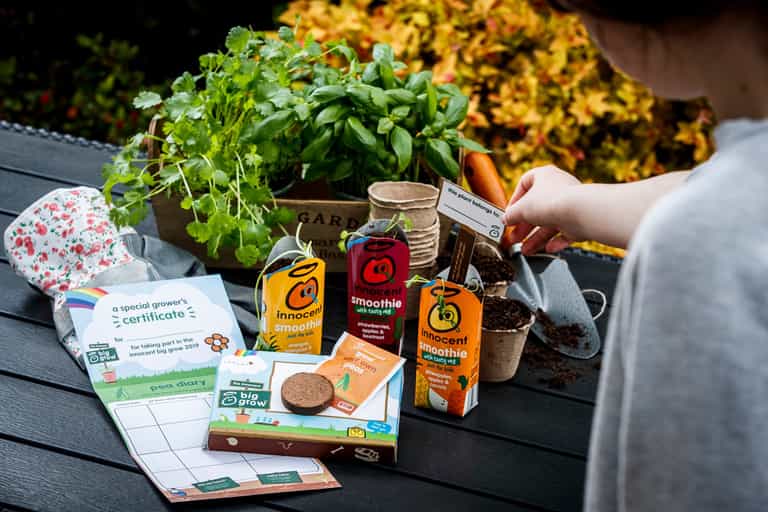 Got a green project in your community? innocent & GIY expand The Big Grow Got a green project in your community? innocent & GIY expand The Big Grow