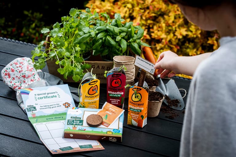 Got a green project in your community? innocent & GIY expand The Big Grow Got a green project in your community? innocent & GIY expand The Big Grow
