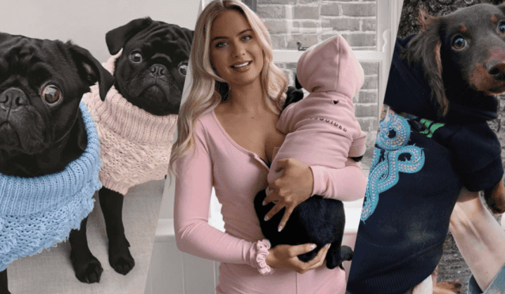 Living in loungewear? You can now get matching sweats for you and your dog Living in loungewear? You can now get matching sweats for you and your dog
