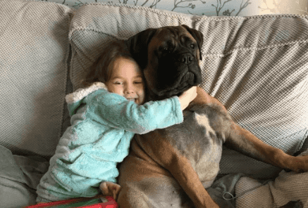 Kids have been applying to ‘work from home’ with their dogs during lockdown and nah, too much Kids have been applying to ‘work from home’ with their dogs during lockdown and nah, too much