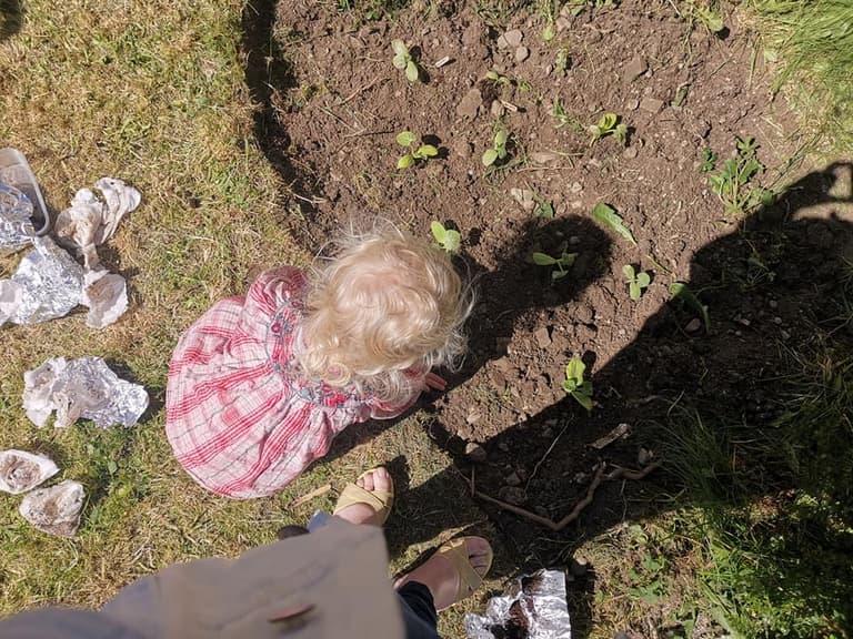 Since lockdown started we’ve been working on growing our own vegetables Since lockdown started we’ve been working on growing our own vegetables