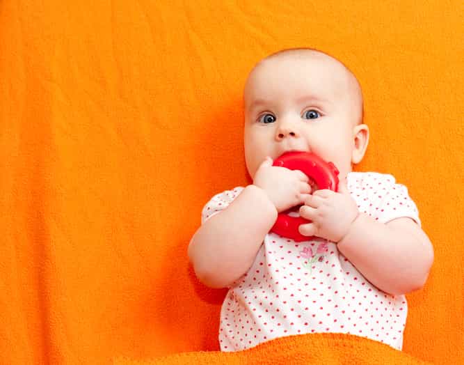 Time for their first toothbrush! 5 signs your little one is teething Time for their first toothbrush! 5 signs your little one is teething