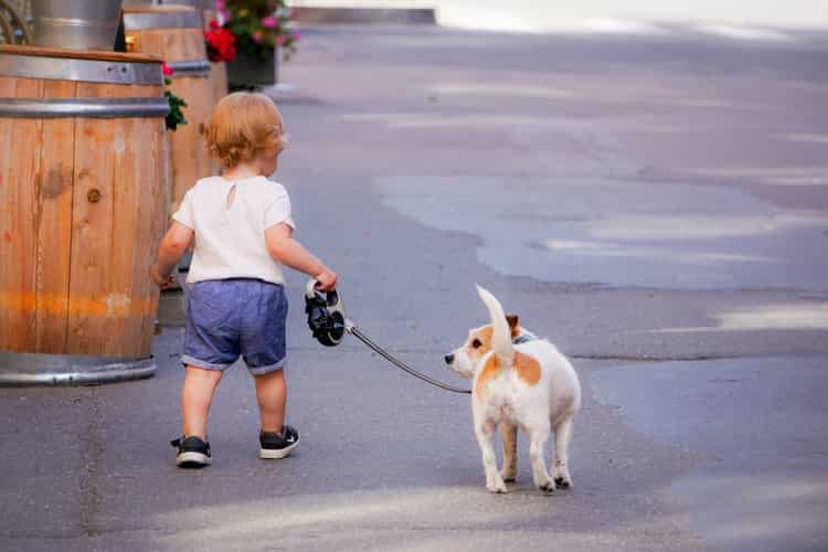 Missing autistic toddler found safe after family dogs keep him safe from harm Missing autistic toddler found safe after family dogs keep him safe from harm