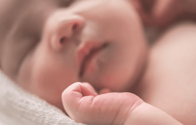 Global crash in fertility rates set to have a “jaw-dropping” impact on societies Global crash in fertility rates set to have a “jaw-dropping” impact on societies