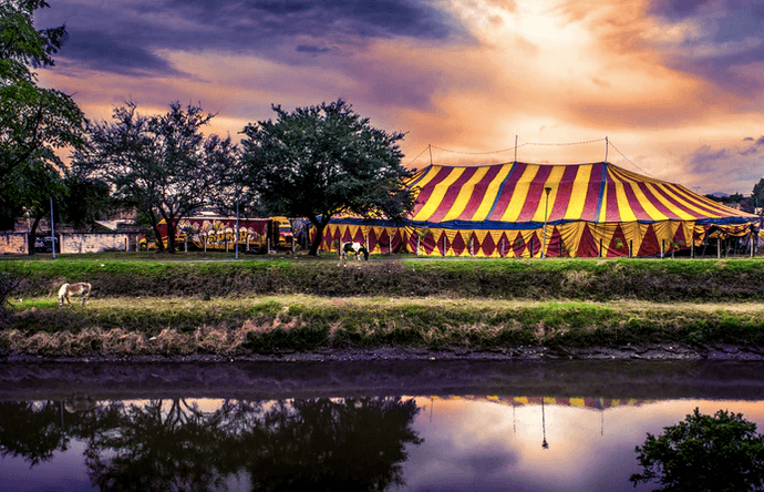 There is a drive-in circus experience happening at Leopardstown Racecourse this weekend There is a drive-in circus experience happening at Leopardstown Racecourse this weekend