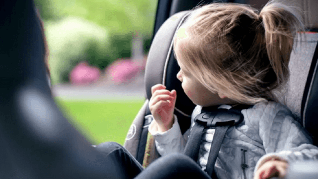 Parents spend an average of FOUR DAYS A YEAR wrestling kids into the car, new study finds Parents spend an average of FOUR DAYS A YEAR wrestling kids into the car, new study finds