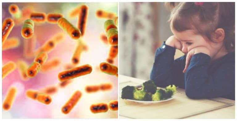 New research finds a strong link between gut bacteria and a child’s behaviour New research finds a strong link between gut bacteria and a child’s behaviour