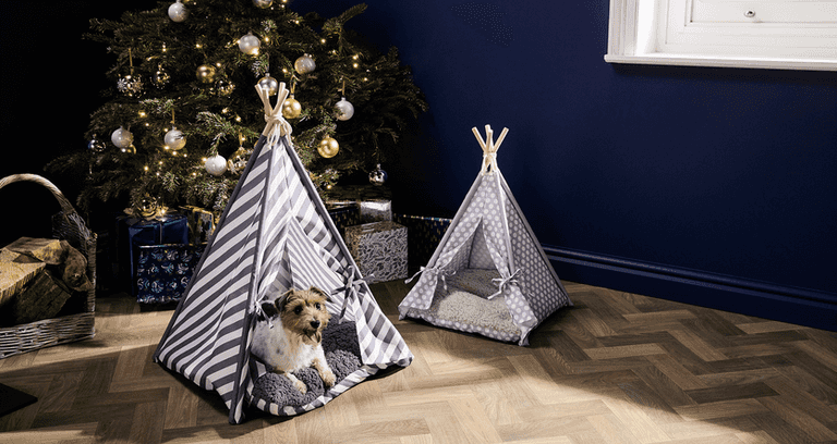 Santa paws! There are some seriously adorable pet accessories coming into Aldi next week Santa paws! There are some seriously adorable pet accessories coming into Aldi next week