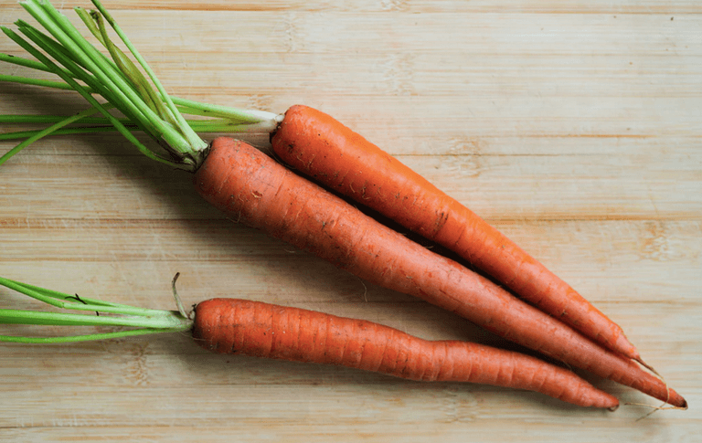 Apparently, you shouldn’t leave a carrot out for Rudolph on Christmas Eve, but something rather different Apparently, you shouldn’t leave a carrot out for Rudolph on Christmas Eve, but something rather different