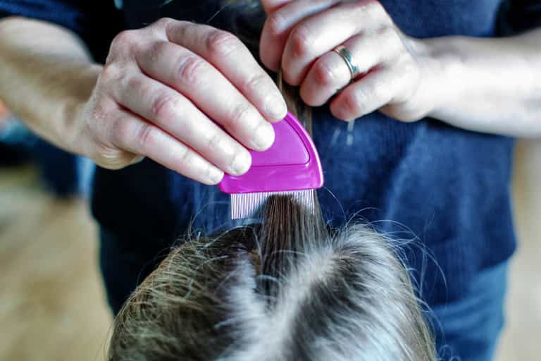 Child hospitalised with head-lice as neglect goes unnoticed in lockdown, says report Child hospitalised with head-lice as neglect goes unnoticed in lockdown, says report