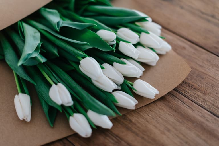 The clever hacks that keep your tulips from drooping The clever hacks that keep your tulips from drooping