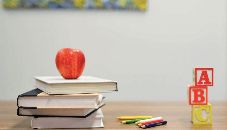 More languages could soon be added to the primary school curriculum in Ireland More languages could soon be added to the primary school curriculum in Ireland