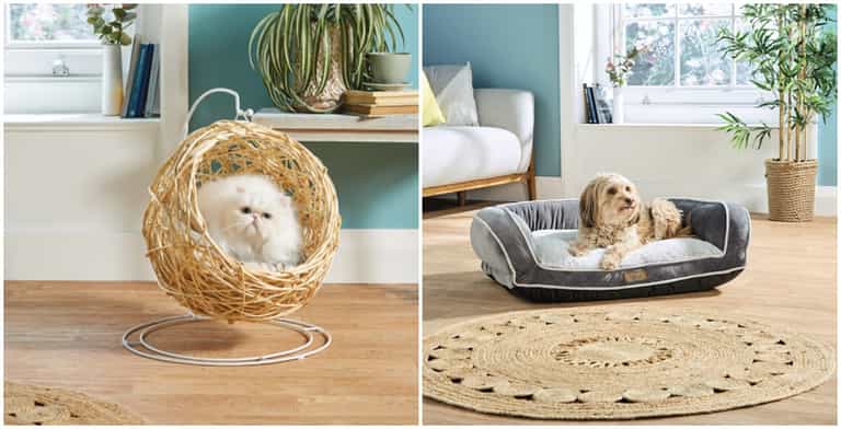 How paw-fect! These eco-friendly pet buys are coming to Aldi next weekend How paw-fect! These eco-friendly pet buys are coming to Aldi next weekend