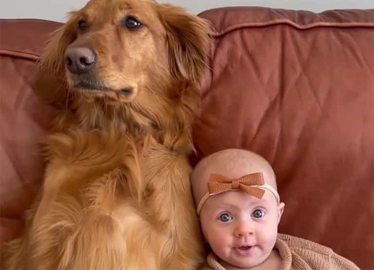 Watch: The sweetest love between a dog and her human baby sister Watch: The sweetest love between a dog and her human baby sister
