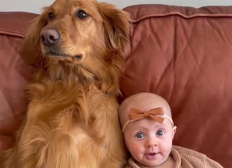 Watch: The sweetest love between a dog and her human baby sister Watch: The sweetest love between a dog and her human baby sister