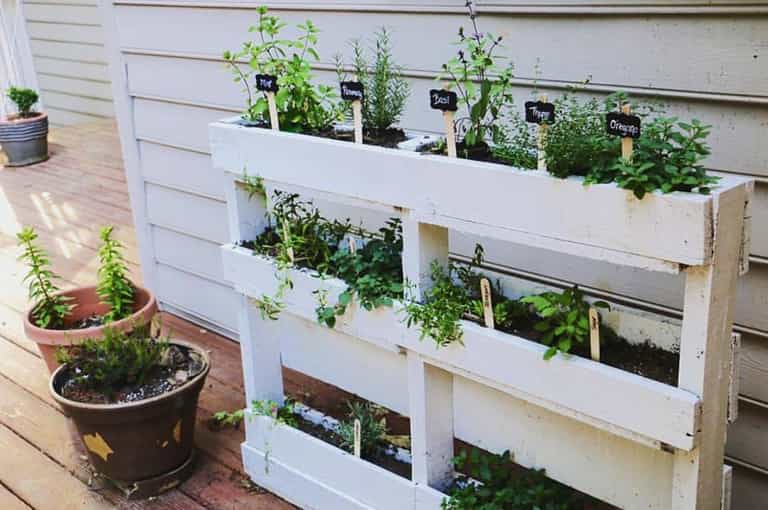 Weekend DIY: Grow your own food with this easy pallet herb garden Weekend DIY: Grow your own food with this easy pallet herb garden