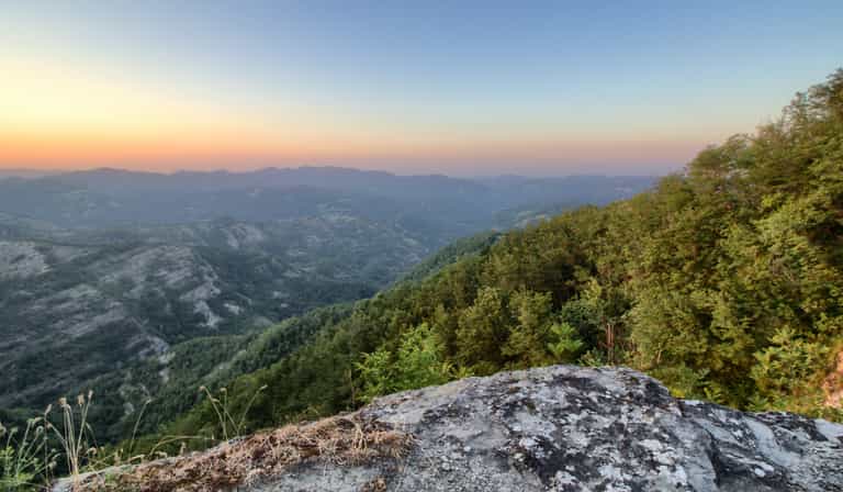 Missing toddler found alive after two nights alone in mountainous woods Missing toddler found alive after two nights alone in mountainous woods