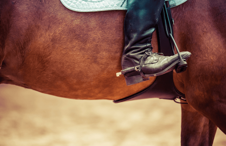 A teenage girl has died in an accident at a Dublin equestrian centre A teenage girl has died in an accident at a Dublin equestrian centre