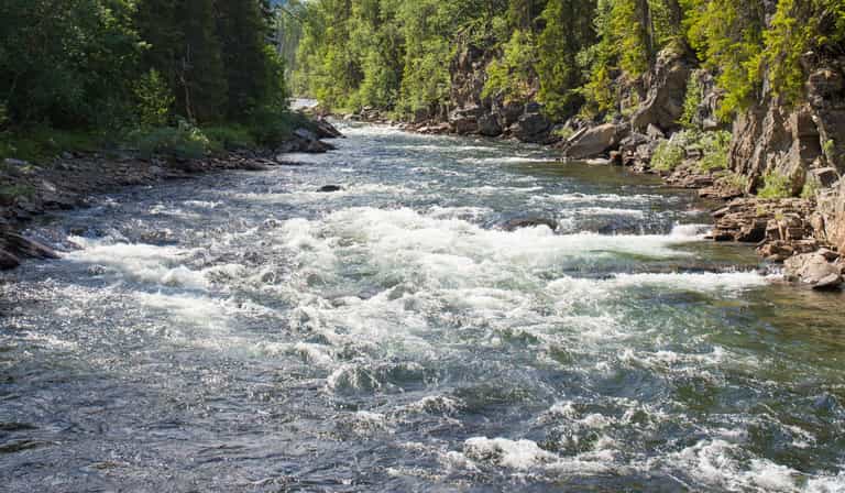 Heroic 10-year-old boy tragically dies whilst saving sister from drowning in river Heroic 10-year-old boy tragically dies whilst saving sister from drowning in river