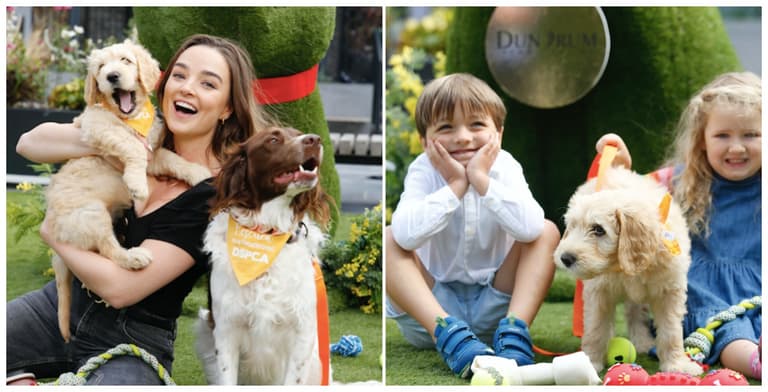 There is a fun and educational event for your four-legged friends happening in Dundrum this weekend There is a fun and educational event for your four-legged friends happening in Dundrum this weekend